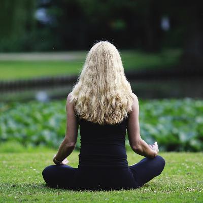 Fase inicial Atención Plena DIEM