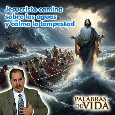 Jesus camina sobre las aguas y calma la tempestad - Palabras de Vida