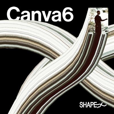 SHAPE + :  Canva6