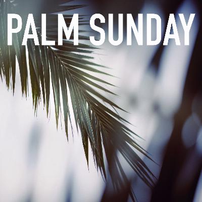 Palm Sunday Palm Sunday