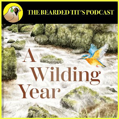 Rewilding a Lincolnshire Farm ft Hannah Dale #166