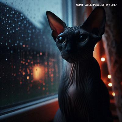 ASMR - Весенний дождь и немного после