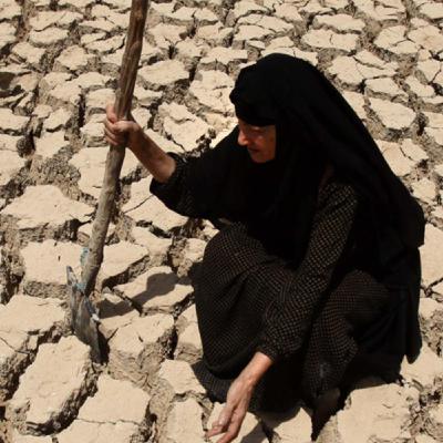 T4X25: ¿Estamos viviendo una guerra del agua? - 24/03/2017