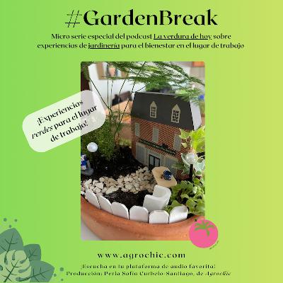 xGB2: Esta es la experiencia más 'cute' que puedes coordinar para tu equipo de trabajo: un jardín miniatura. xGB2: Esta es la experiencia más 'cute' que puedes coordinar para tu equipo de trabajo: un jardín miniatura.