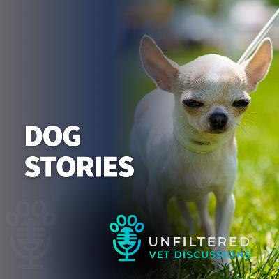 Dog Stories Dog Stories