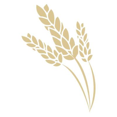 Judges: The Cycle of Sin and Deliverance