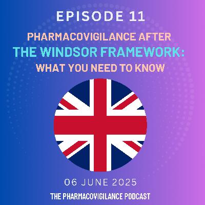 What Changed for UK Medicines After the Windsor Framework?