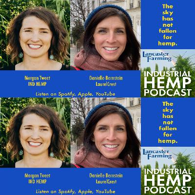 The Sky Has Not Fallen on Industrial Hemp