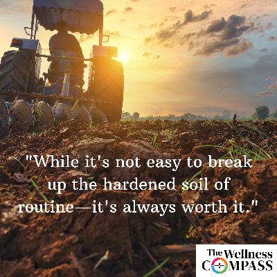 "The Benefits of Turning Over the Soil," March 28, 2025