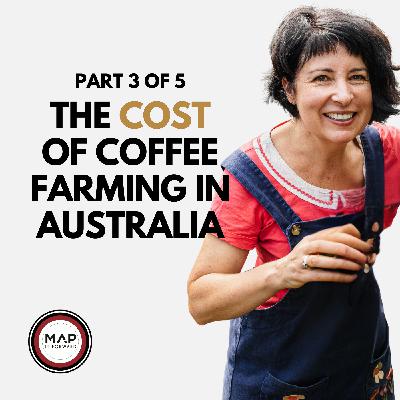 1548 | Part 3 of 5 | The Challenges of Australian Coffee Farming (Rebecca Zentveld)