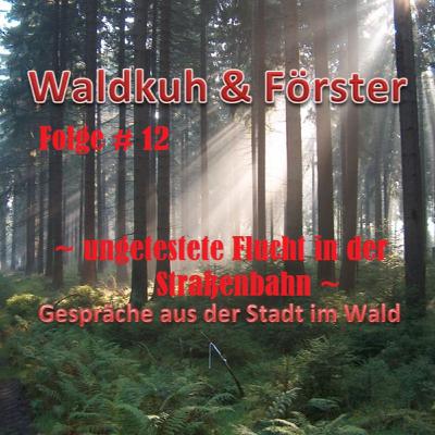 ungetestete Flucht in der Straßenbahn