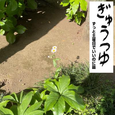 #29~GW振り返りスペシャル~