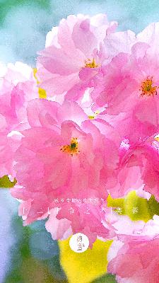 【古典诗词】秦观《鹊桥仙•纤云弄巧》