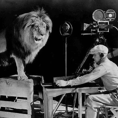 3. Uso De Animales No Humanos En La Industria Del Cine. Parte I