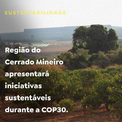 Região do Cerrado Mineiro apresentará iniciativas sustentáveis durante a COP30