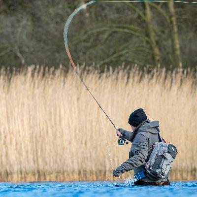 "Doctor's orders" "Doctor's orders"