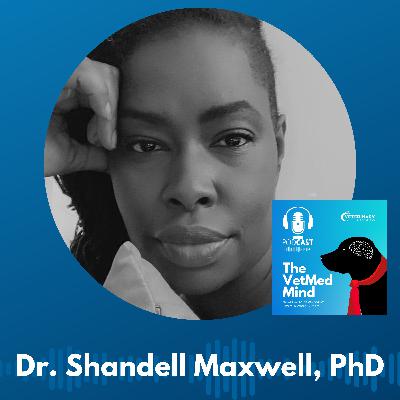 Success Stories & Lessons Learned: Dr. Shandell Maxwell, PhD