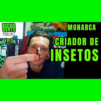 CRIAÇÃO DE INSETOS com Monarca | BICHO GENTE Podcast ep.3