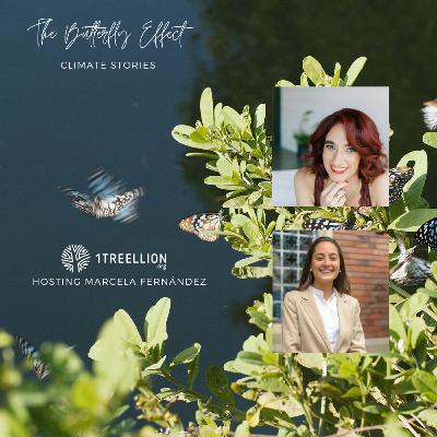 Episode 80 / The Butterfly Story of The Páramos And The Tropical Glaciers Hosting Marcela Fernández