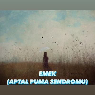 EMEK (APTAL PUMA SENDROMU) EMEK (APTAL PUMA SENDROMU)