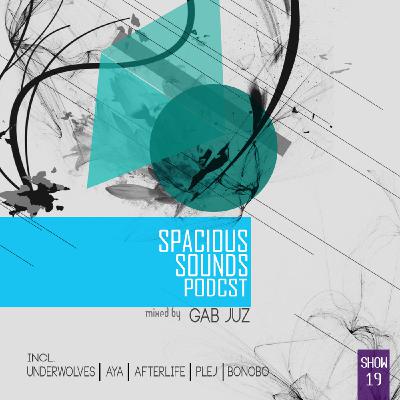 Spacious Sounds Podcast SHOW #19