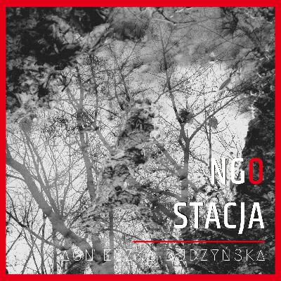 #96: Wszystko o odpłatnej działalności statutowej