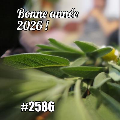 Bonne année 2026 : mes premières résolutions