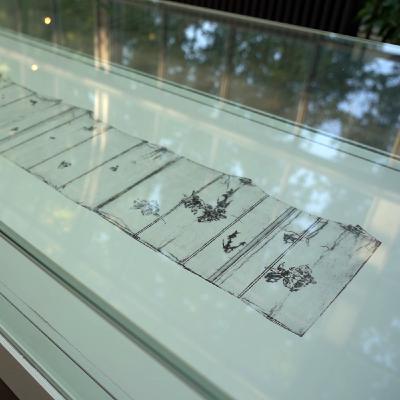 Ausradiert? Von Faltern & Blüten auf Milchtüten – Natur trifft Kunst