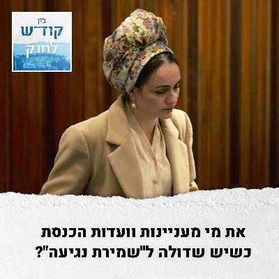 את מי מעניינות ועדות הכנסת כשיש שדולה ל"שמירת נגיעה"?