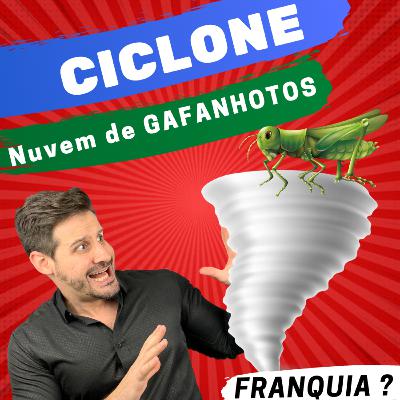 O que o Ciclone e Nuvem de Gafanhotos tem a ver com FRANQUIA ?