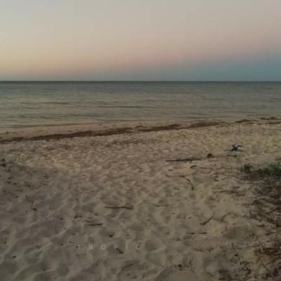 Organizaciones y ejemplos en Venezuela.