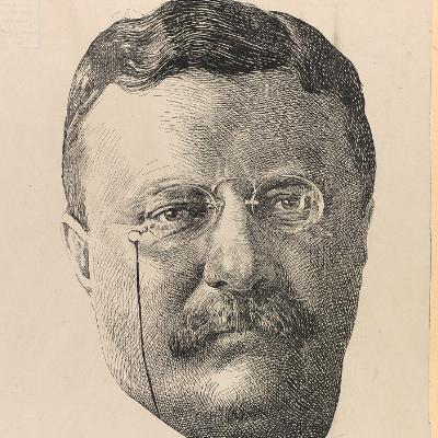 What Did Teddy Roosevelt Do to Dr. Seuss?!