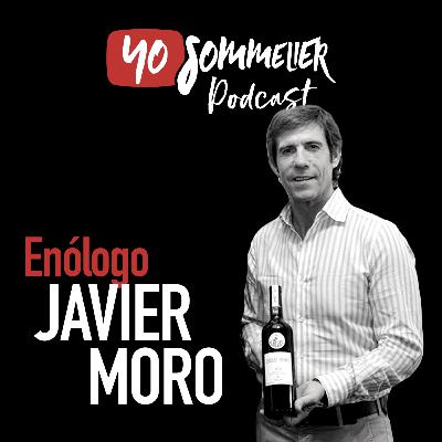 Entrevista con el Enólogo Javier Moro