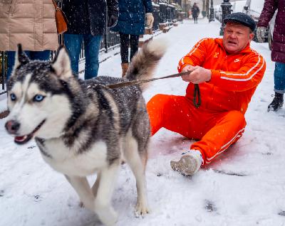 These Huskies Are Running These Huskies Are Running