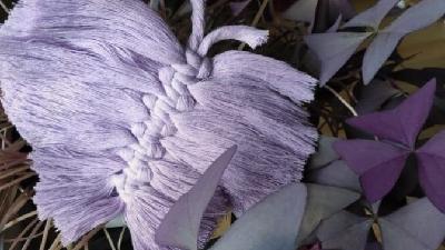 "De una noticia atroz surgió un proyecto para concienciar sobre la violencia de género a través de las mariposas moradas" "De una noticia atroz surgió un proyecto para concienciar sobre la violencia de género a través de las mariposas moradas"