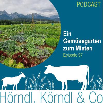 Episode 97: Ein Gemüsegarten zum Mieten