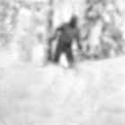 Release #3: Dyatlov Pass Incident