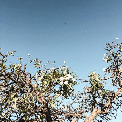 My Bible Overview Presentation