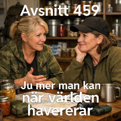 459. Ju mer man kan när världen havererar
