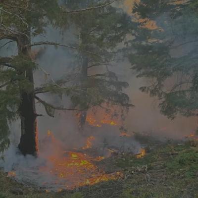 Humboldt Will Lobby State for Firefighting Funding, Coverage Humboldt Will Lobby State for Firefighting Funding, Coverage