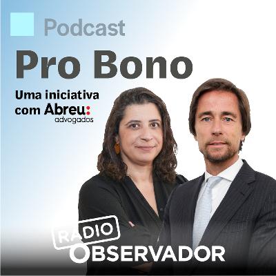 Cibercrime: sabe o que fazer num ataque? Cibercrime: sabe o que fazer num ataque?