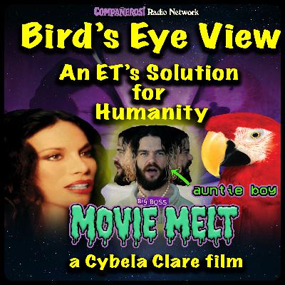 S02E03 Bird's Eye View (2020) w/ Auntie Boy S02E03 Bird's Eye View (2020) w/ Auntie Boy