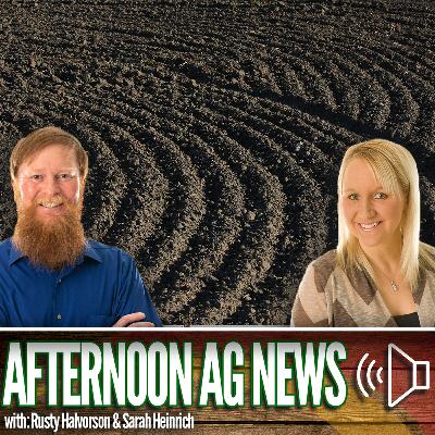 Afternoon Ag News, October 16, 2025: Where is the U.S. farmland market headed next?