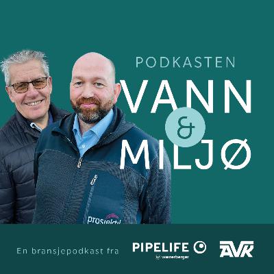 15: Rådgiveren vs Praktikeren
