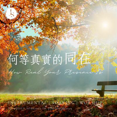 沉浸式柔和音樂，秒靜下心