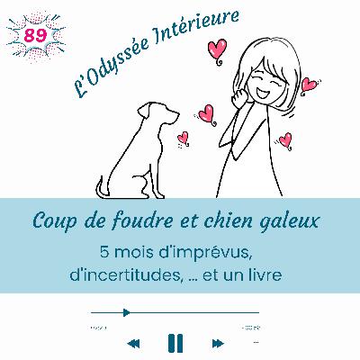 89- Coup de foudre et chien galeux : 5 mois d'imprévus, d'incertitudes, … et un livre 89- Coup de foudre et chien galeux : 5 mois d'imprévus, d'incertitudes, … et un livre