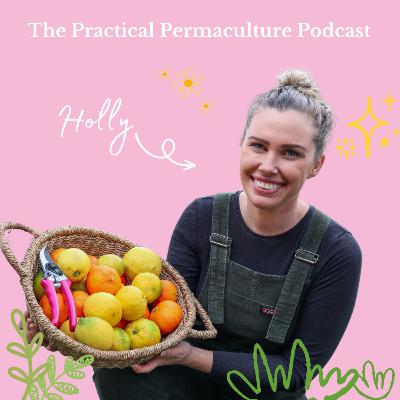 The Joy of Growing Food and plants with Sustainable Holly