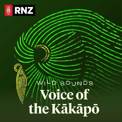 Introducing: Voice of the Kākāpō