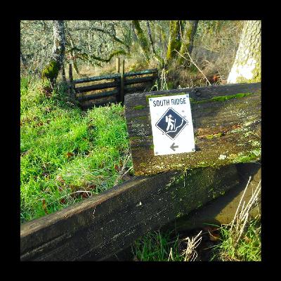 South Ridge Ascent (Podcast)