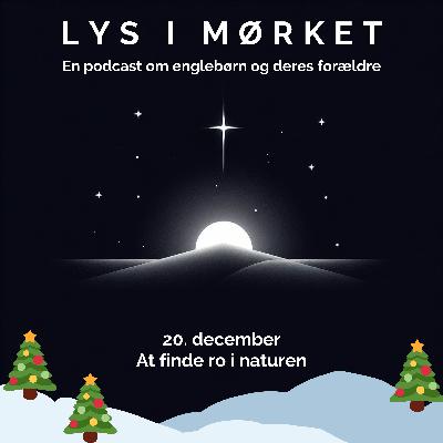 20. december: At finde ro i naturen